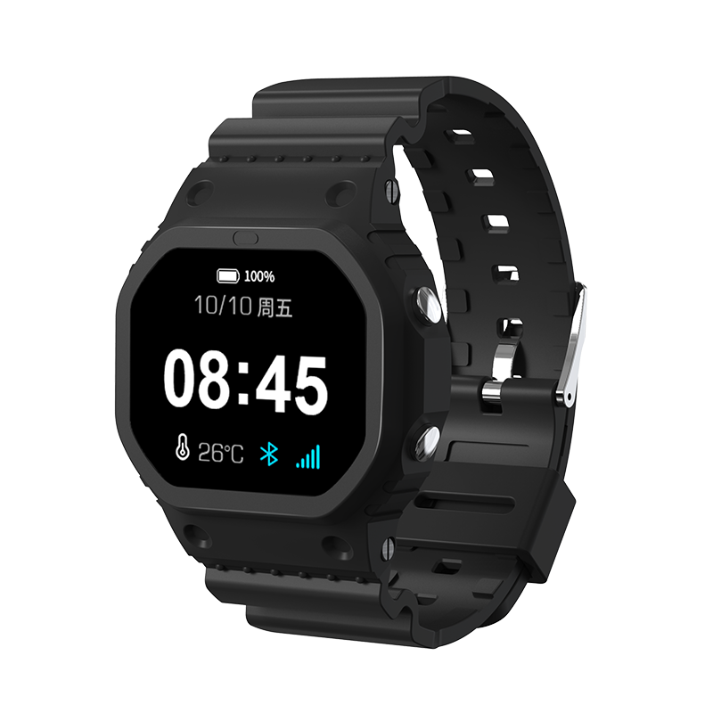 Nb-iot watch